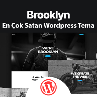Brooklyn Nitelikli ve Çok Amaçlı WordPress Tema