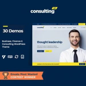 Consulting Bussiness Finans Teması