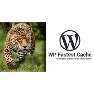 WP Fastest Cache WordPress Eklentisi Satın Al